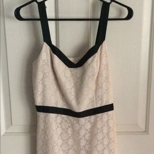 Adorable Ann Taylor Loft Lace Dress